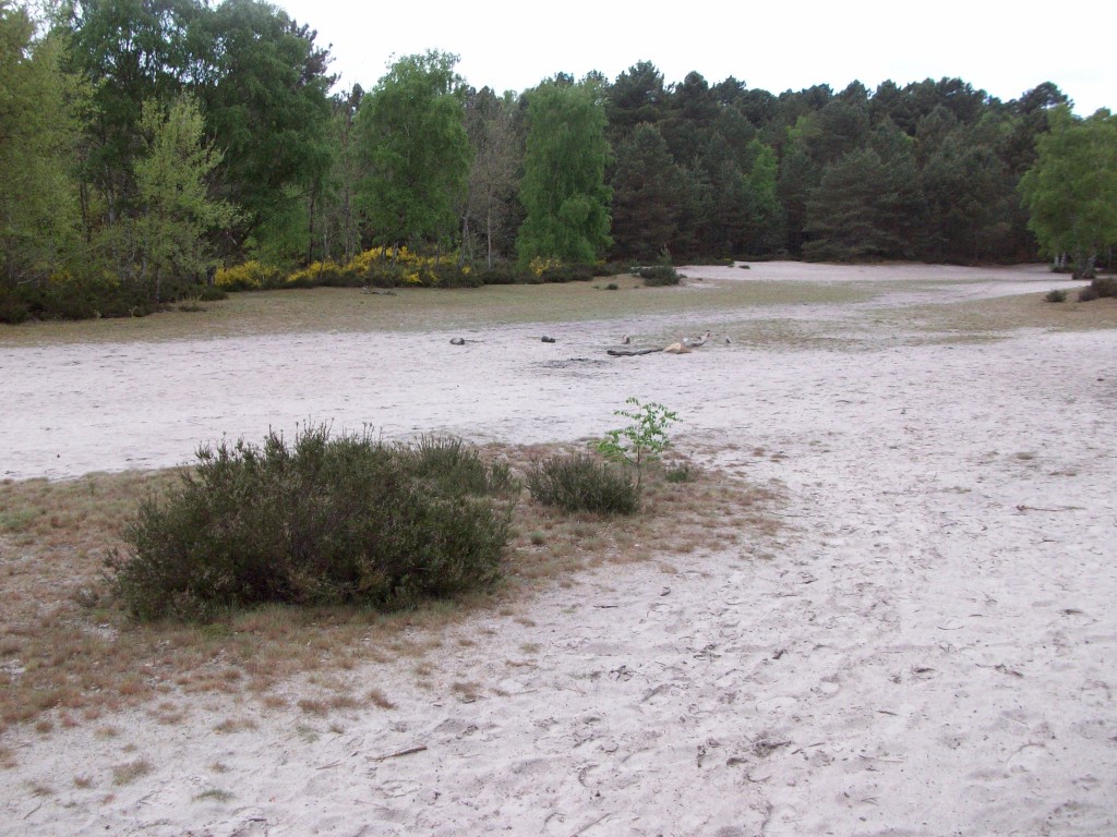 100_3021