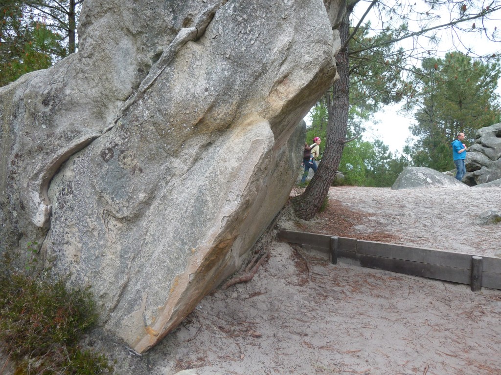 P1120653